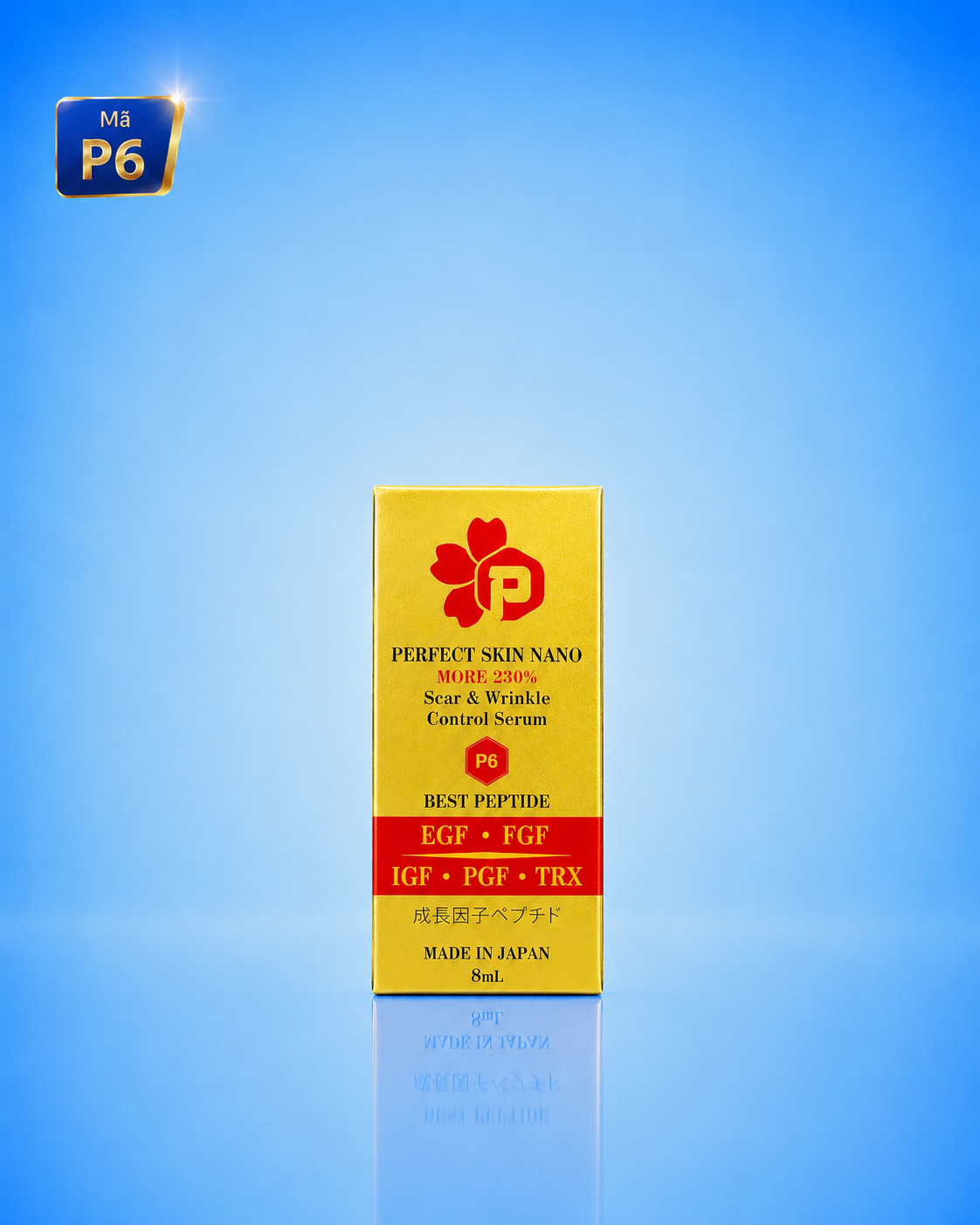P6